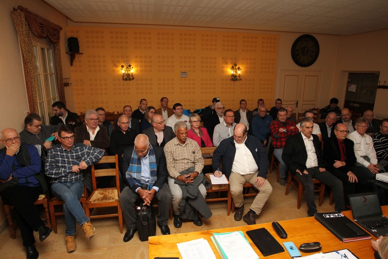 IMGL7185.jpg